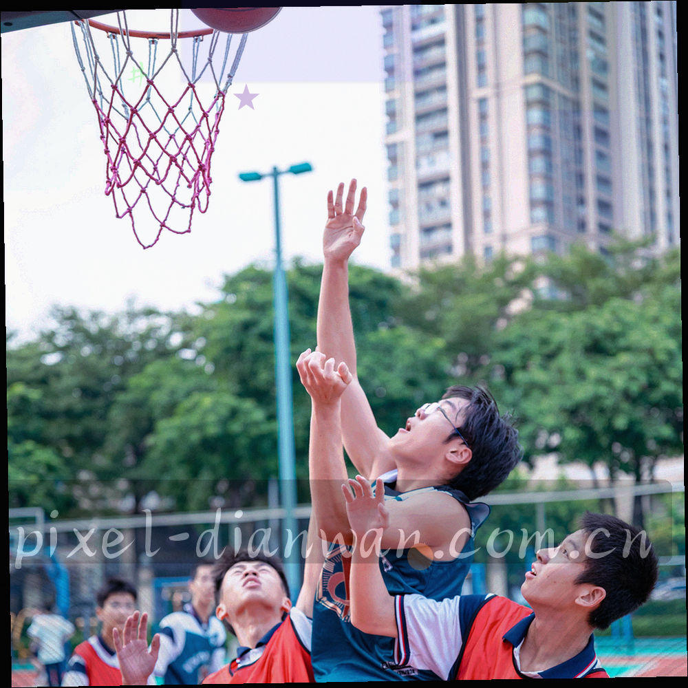 两个圆形区域以连线相互对照的抽象信息图，青蓝与紫色区分海淀与成都两组口径